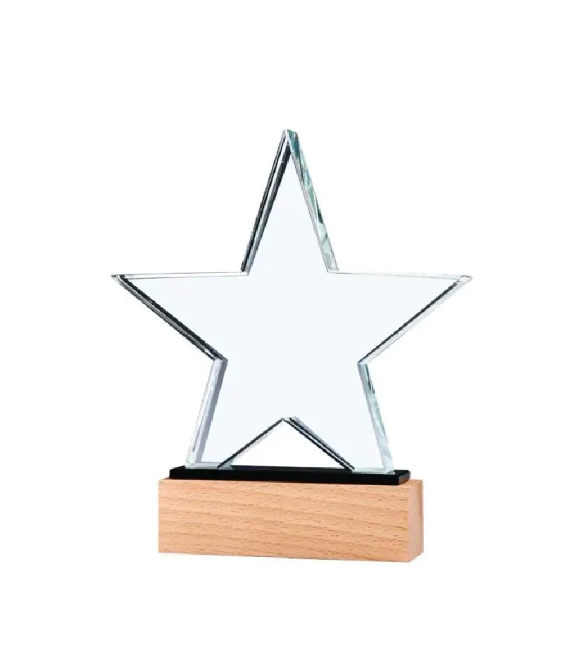 Corporate Award 01 — corporate gift Dubai
