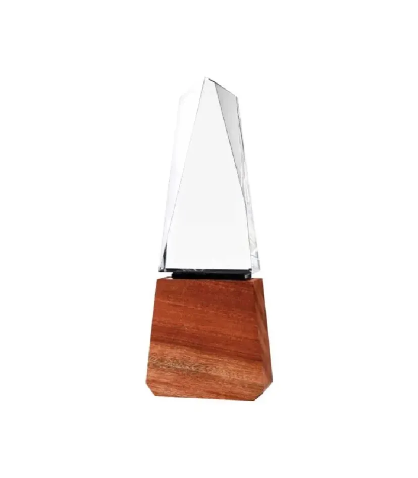 Corporate Award 02 — corporate gift Dubai