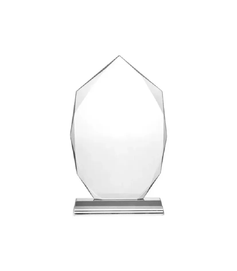 Corporate Award 04 — corporate gift Dubai