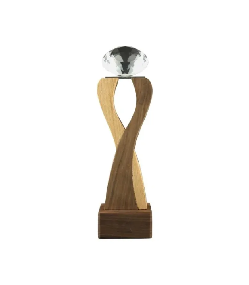 Corporate Award 05 — corporate gift Dubai