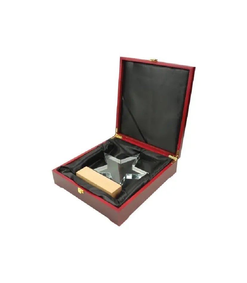 Corporate Award 11 — corporate gift Dubai