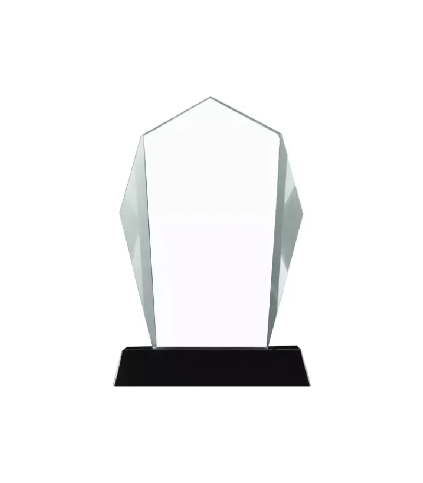 Corporate Award 12 — corporate gift Dubai