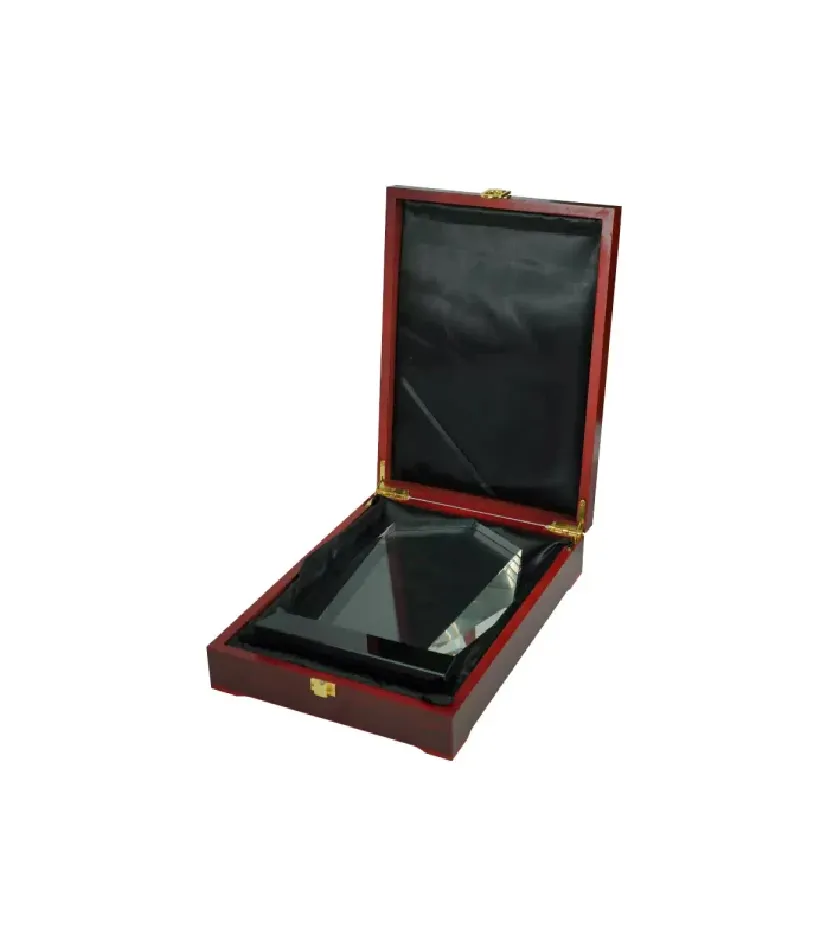 Corporate Award 13 — corporate gift Dubai