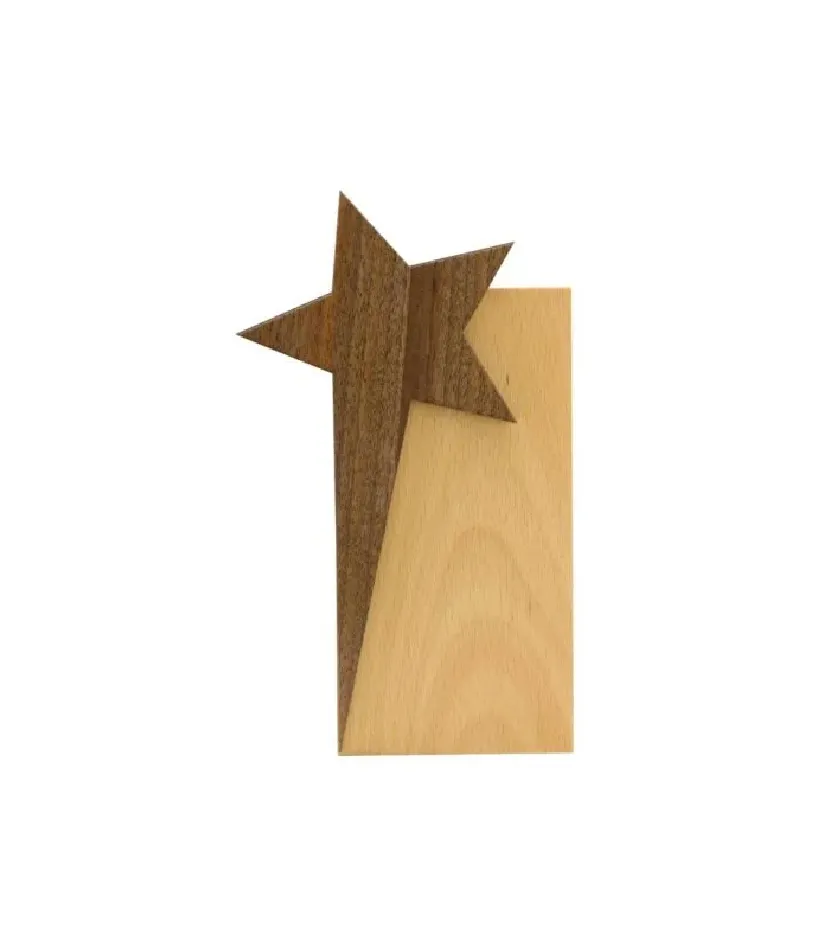 Corporate Award 23 — corporate gift Dubai
