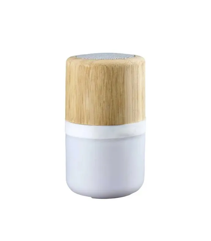 Bluetooth Speaker 07 — corporate gift Dubai