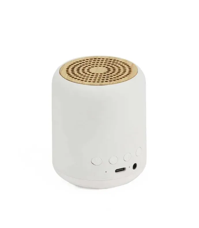 Bluetooth Speaker 14 — corporate gift Dubai